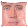 Nicolas Cage Sequence Pillow case