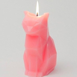skeleton of cat and candle