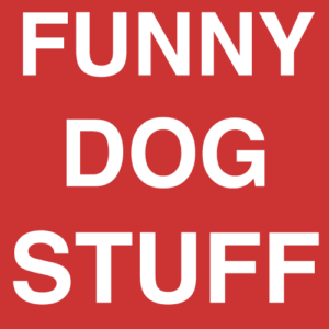 Funny Dog Stuff
