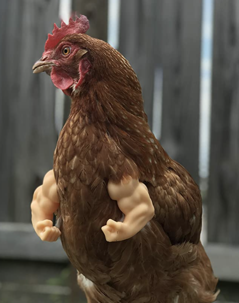 chickens t rex